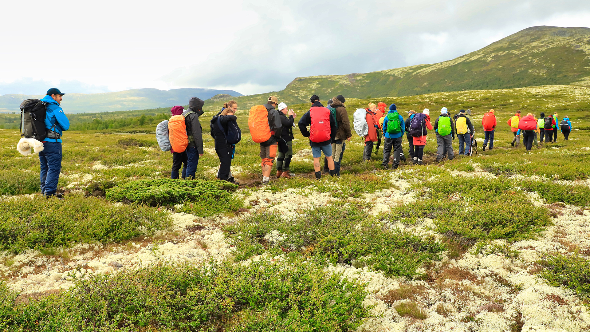 FjellKæmpens 10-års jubileum!