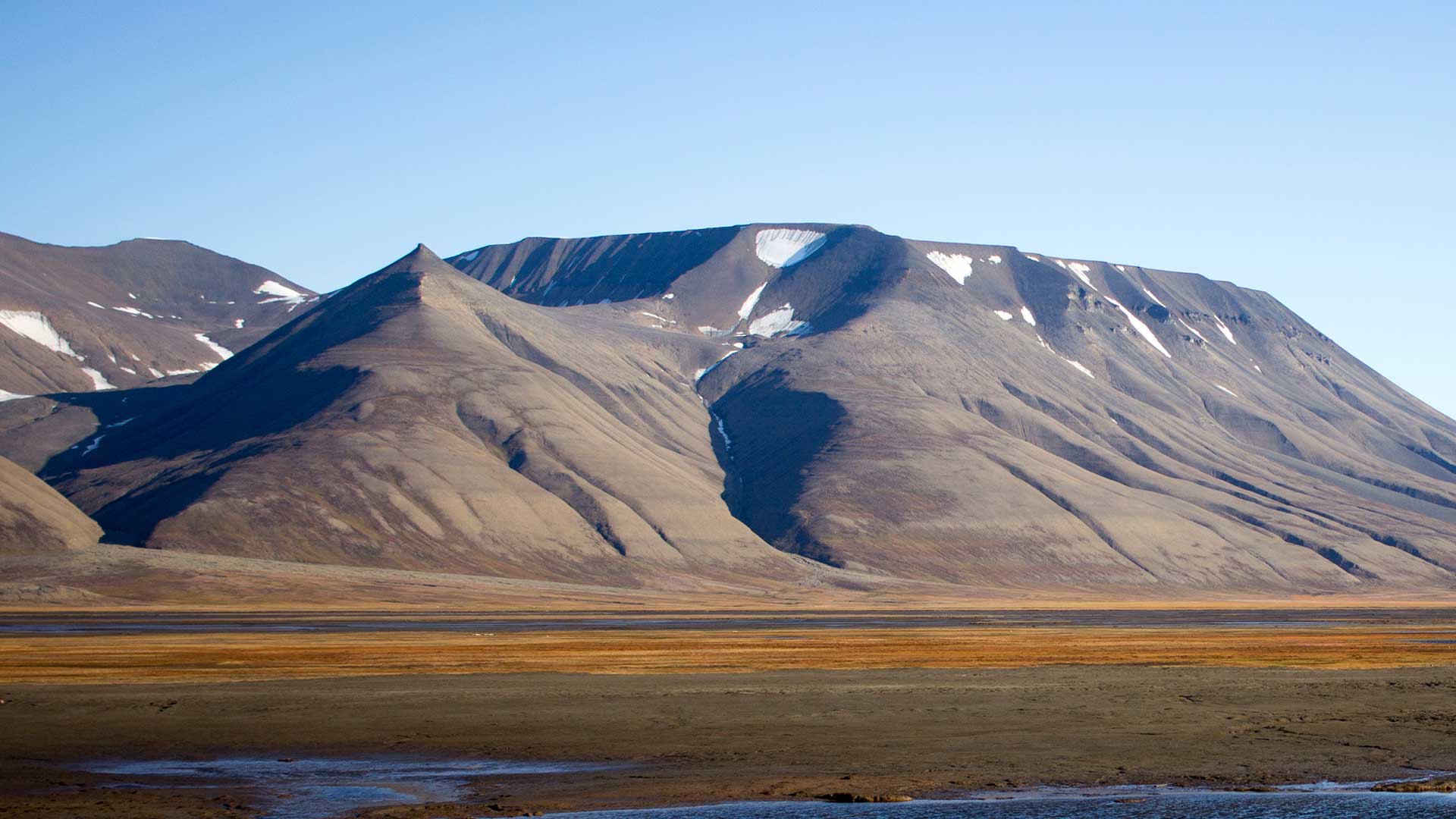 Sommertur til Svalbard