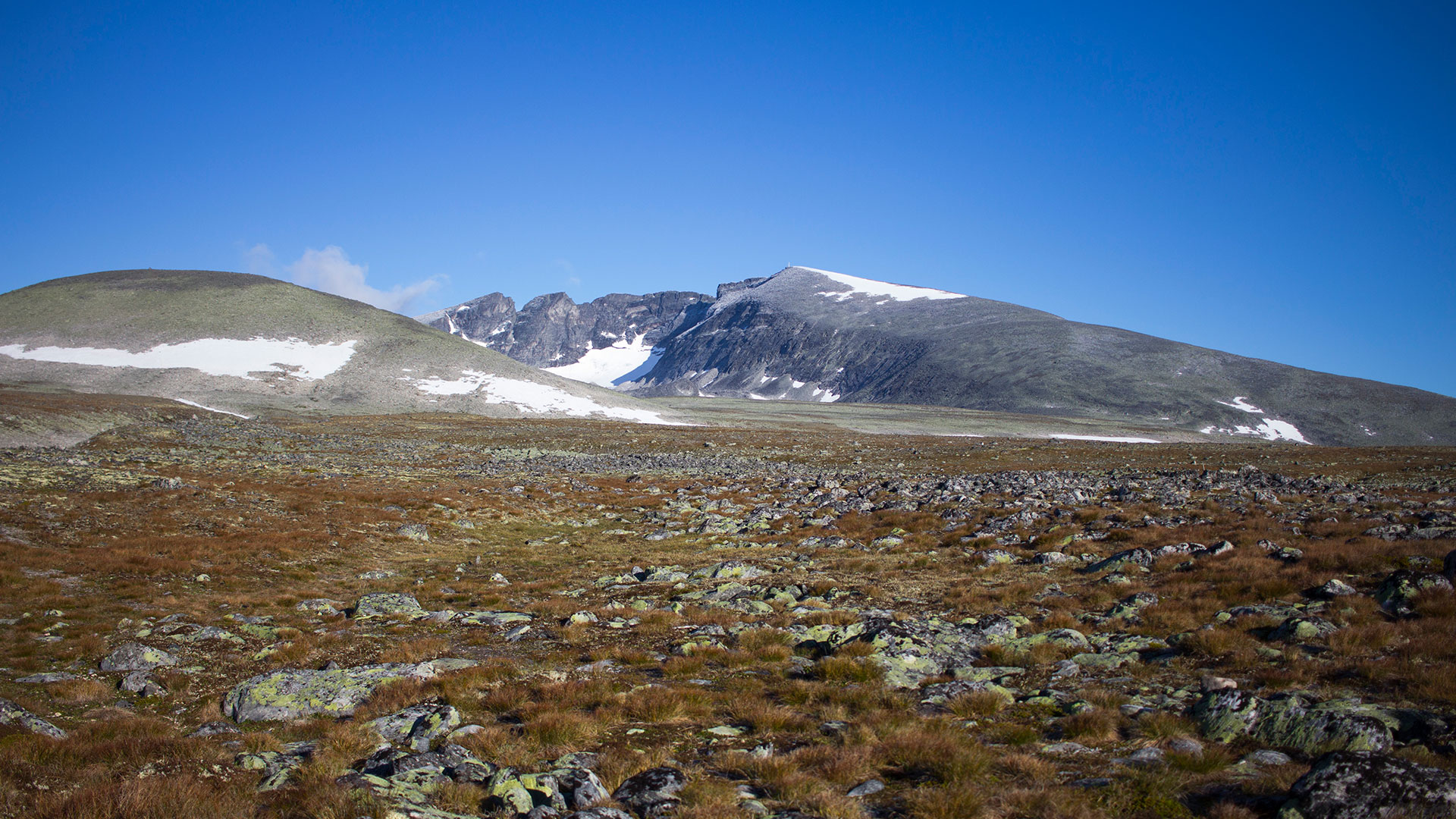 Tur til Snøhetta med FjellTid