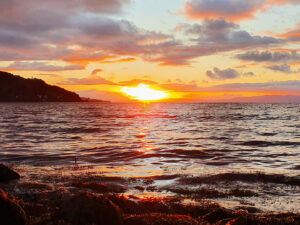 FjellTid til Trondheims Berlinmur 23.1.24