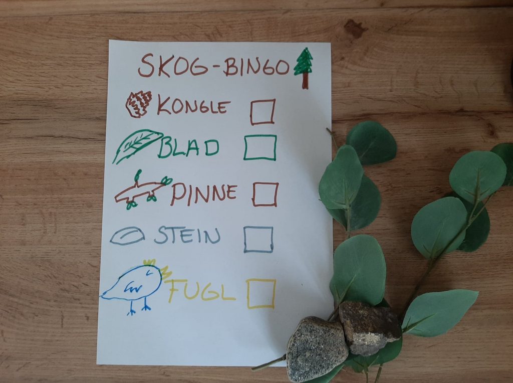 Skogsbingo - Foto: What´s up - app
