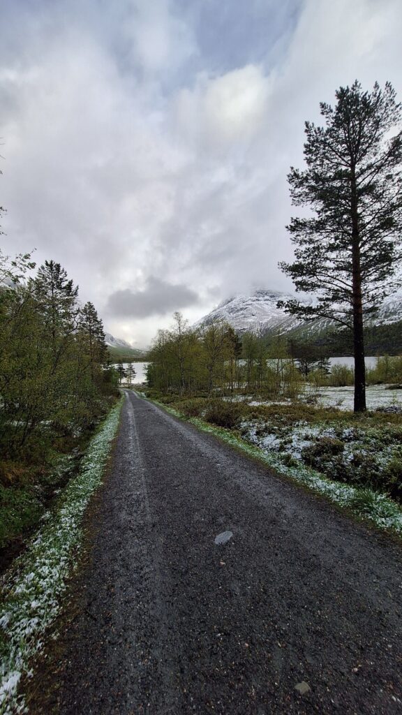 Grusvei i Innerdalen