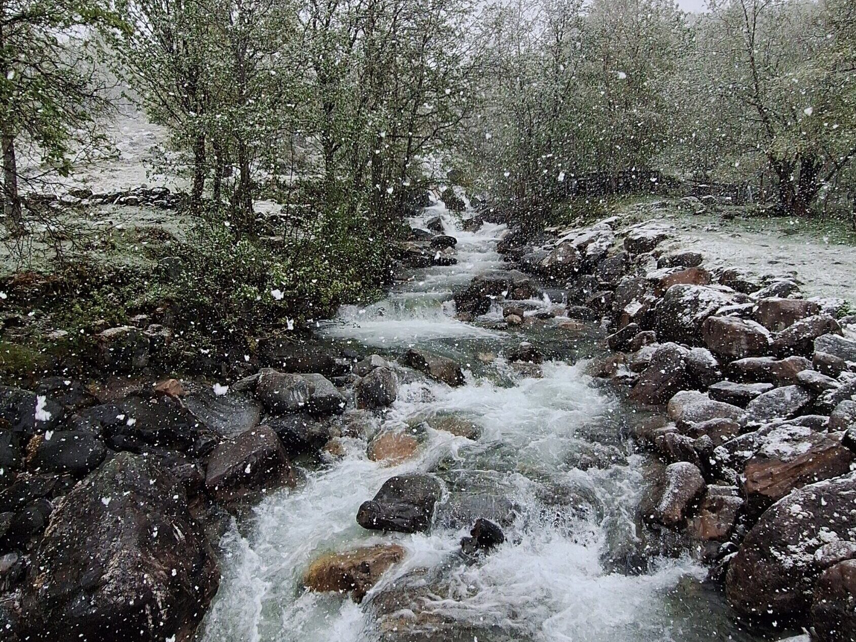 Bekk i Innerdalen.