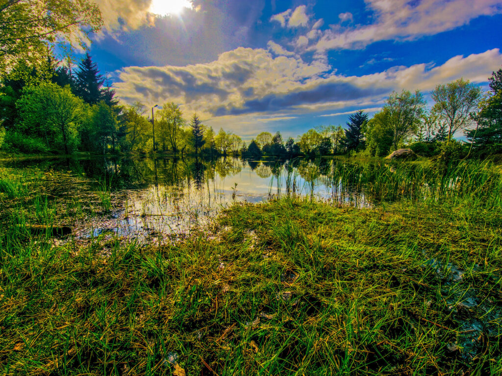 En blå himmelen speiles i stordalsvatnet omgitt av frodig og grønn natur.