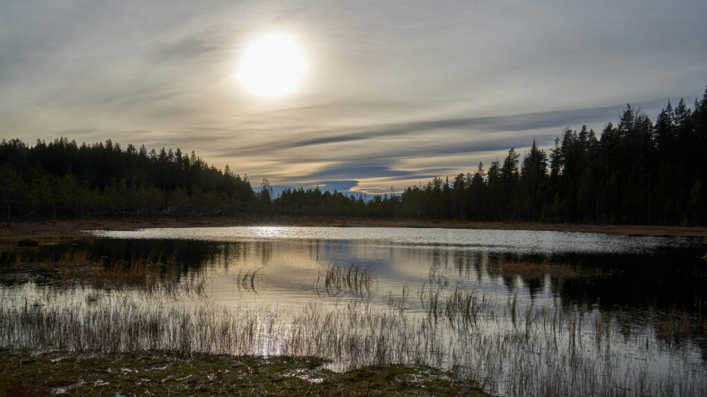 Lite skogstjern under himmel med sol og skyer. 
