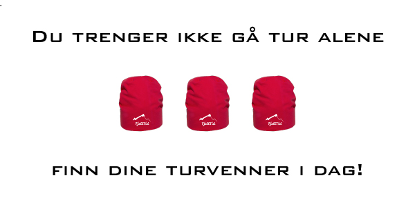 Teksten: "Du trenger ikke gå tur alene", 3 røde fjelltidluer på rekke. Teksten under "Finn dine turvenner i dag".