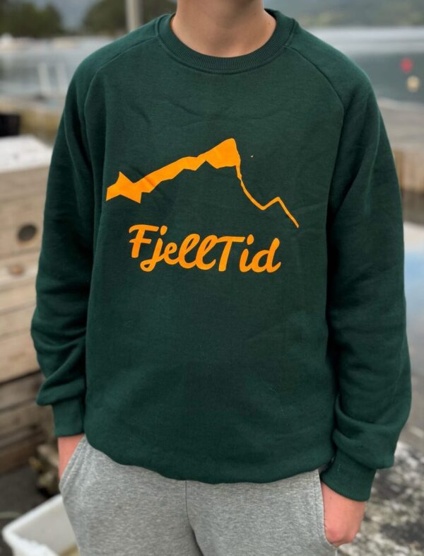FjellTid-genseren - Bilde 2