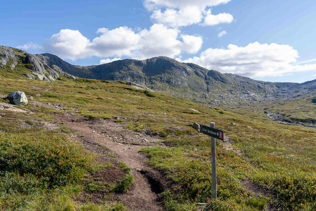 Storskarven - en fjelltopp i trønderlag. Grønt fjellandskap under blå, lett skyet himmel.