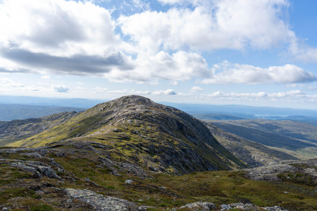 Fjelltoppen Litjskarven