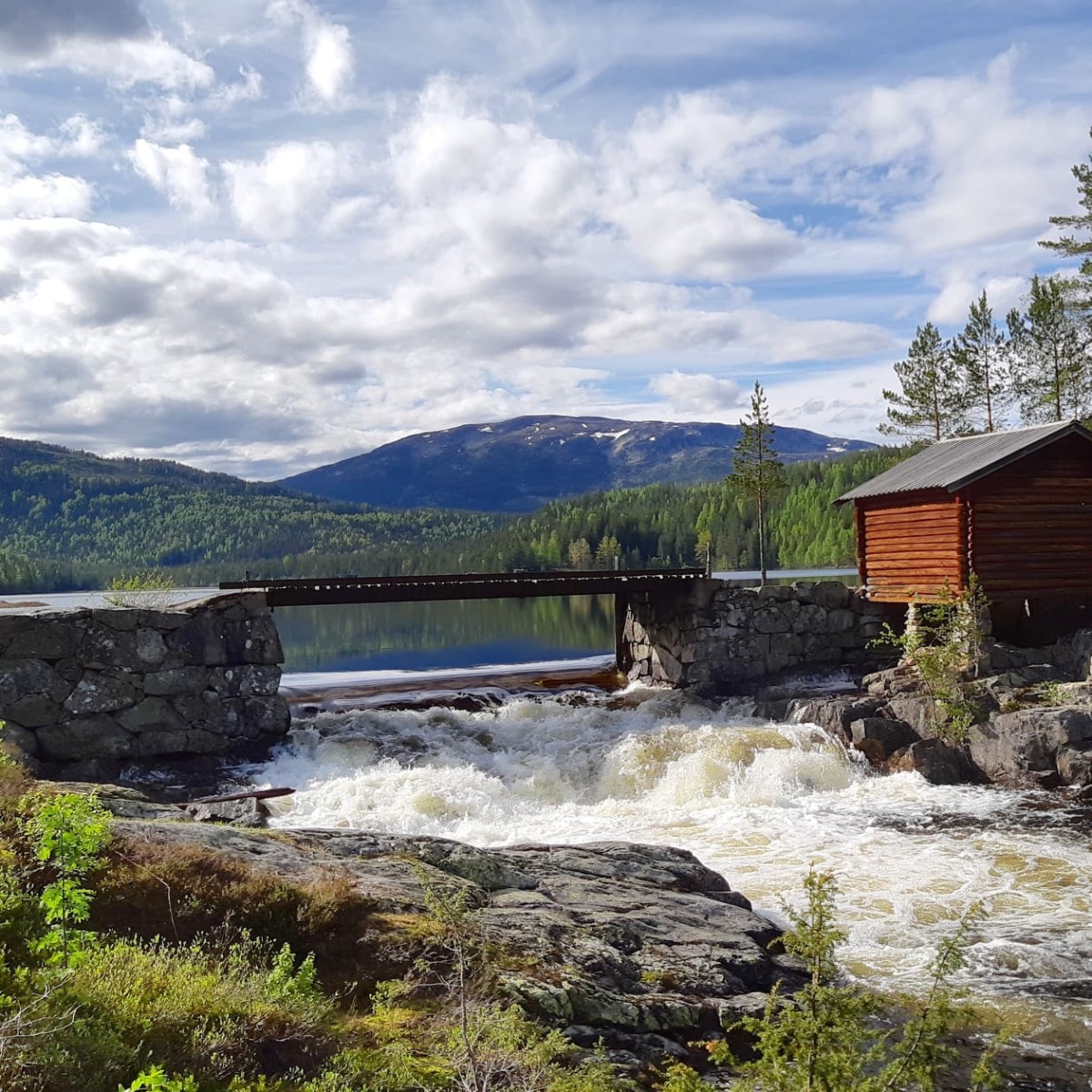 Naturlandskap ved buvasskoia. En enkel trebru over foss. Omgitt av grønn natur og rød koie på høyre side av brua. Blå skogkledde åser i bakgrunn. Under blå, overskyet himmel.