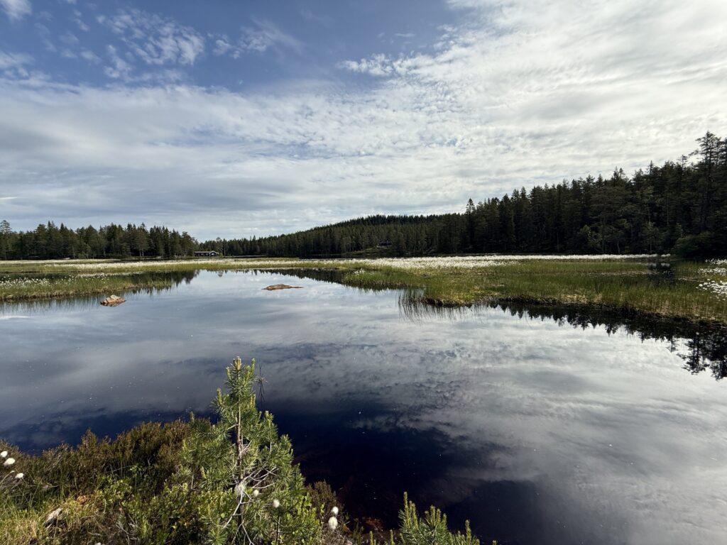 Stille vann i Finnmarka