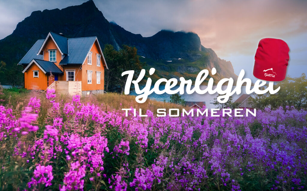 Norskekysten med høyefjell som stuper mot havet. Et gult hus, omgitt av lilla geiterams under en fargerik midnattsol. Med teksten "kjærlighet til sommeren" og røde fjelltidlua plassert litt over tekst.