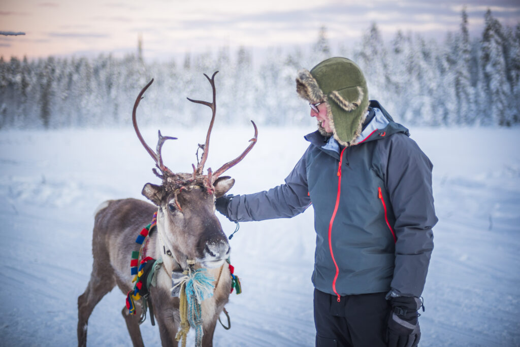 Reinsdyr dekorert med samiske farger og en vinterkledd mann med bf på hodet. Snøkledd landskap og skog i horisonten.