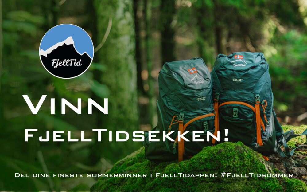 Vinn FjellTidsekken. To fjelltidsekker på en mosekledd stein o grønn skog.