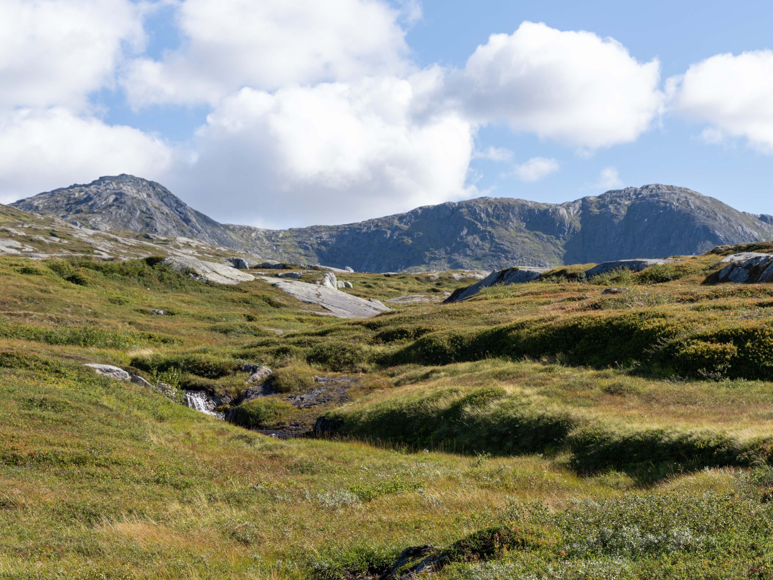 Grønt landskap med fagerbekken som slynger seg ned fra fjellet.