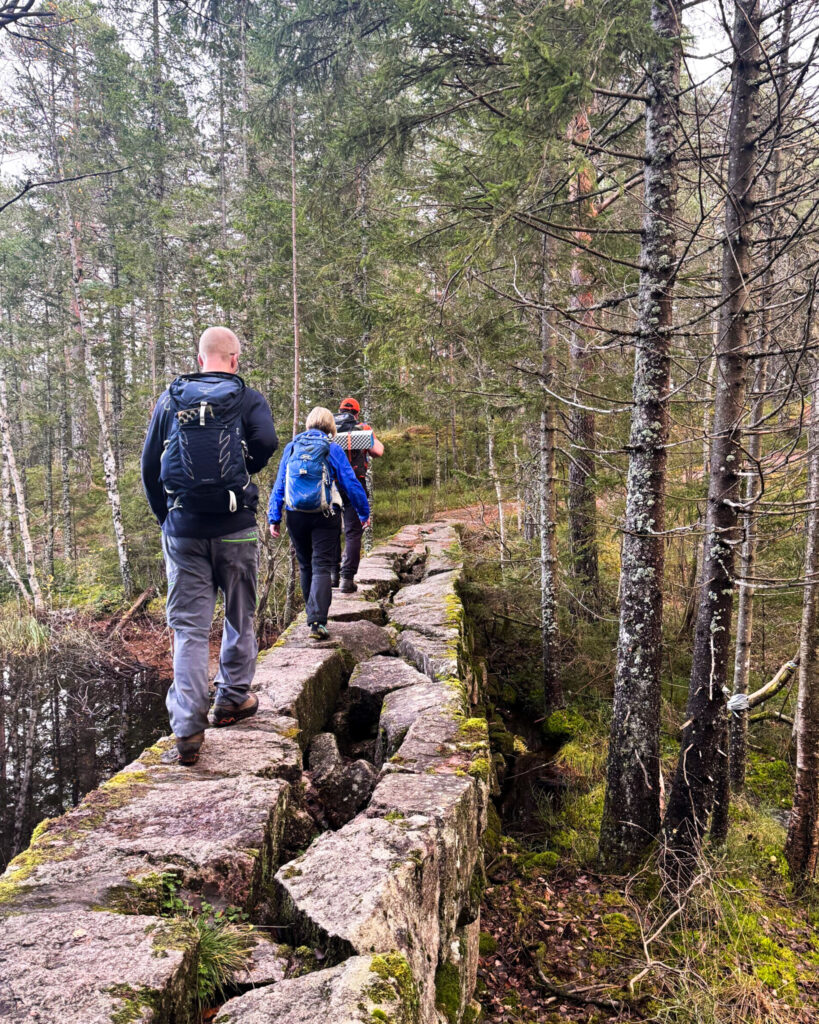 turdeltakere i Kjekstadmarka. Går over en steinbelagt sti/steingjerde.
