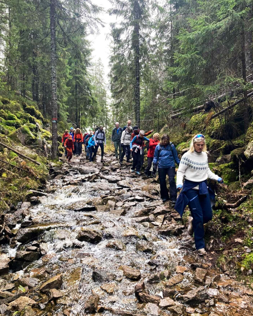Turdeltakere går ned en våt steinete tursti med en liten sildrende bekk.
