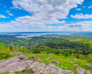 Utsikt fra Skaugumåsen