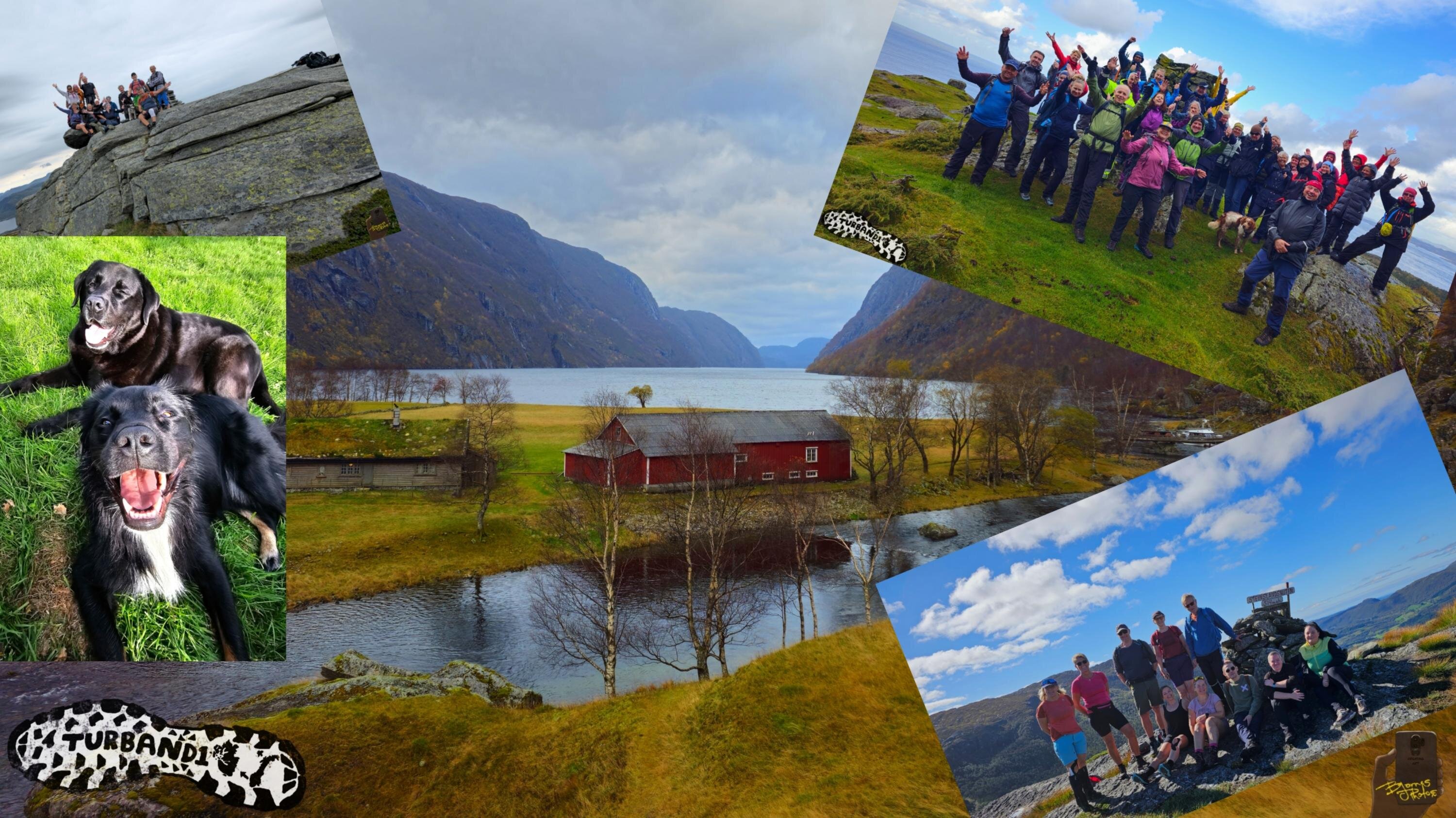 Bjarne cover photo
