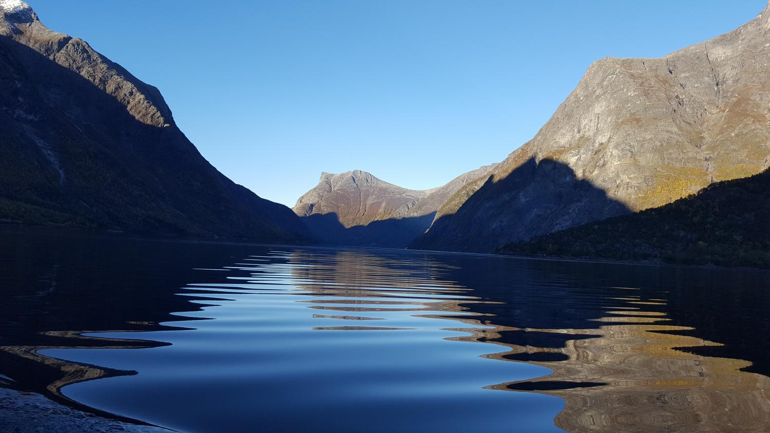 Ingunn cover photo