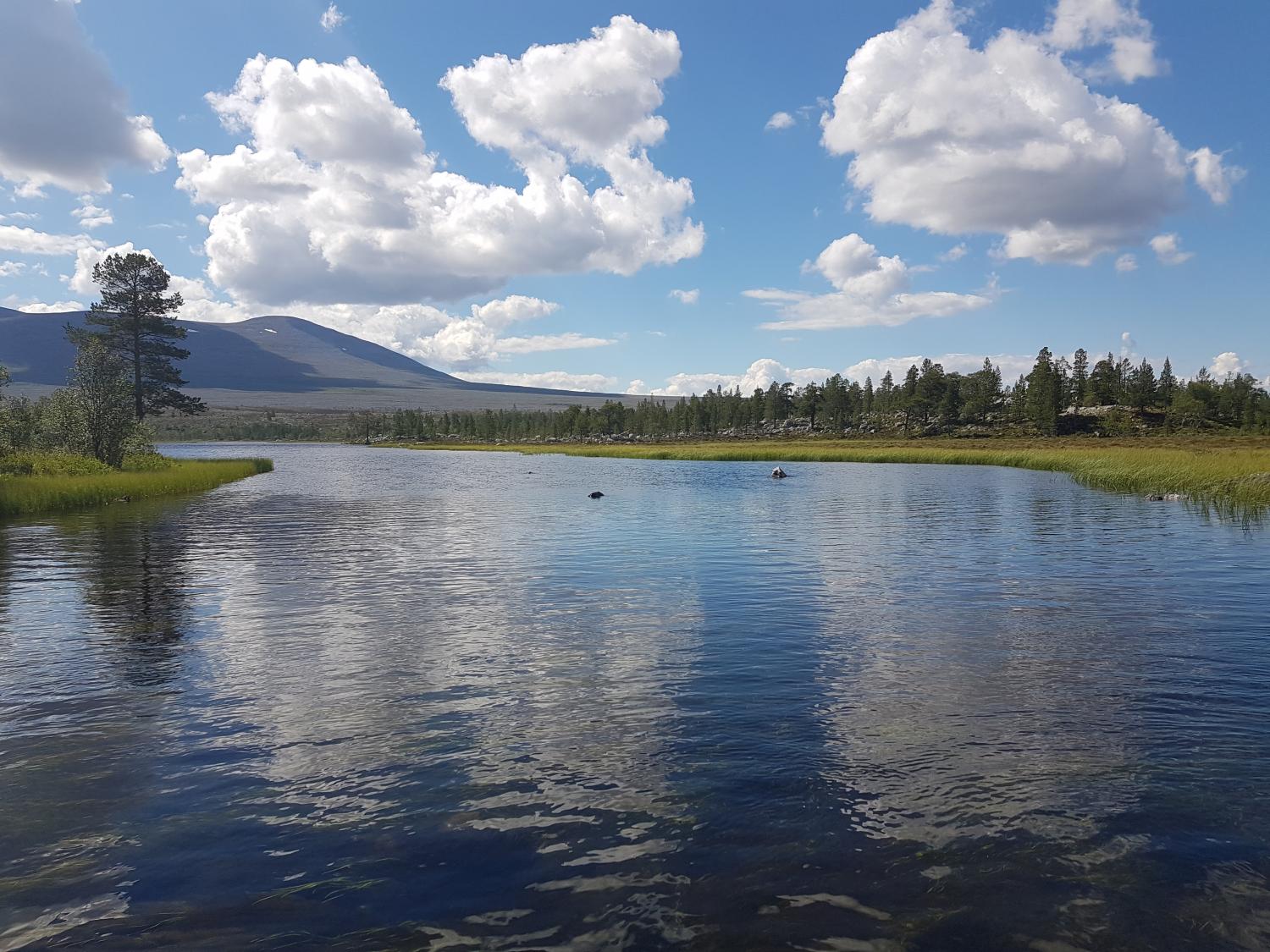 Audun cover photo
