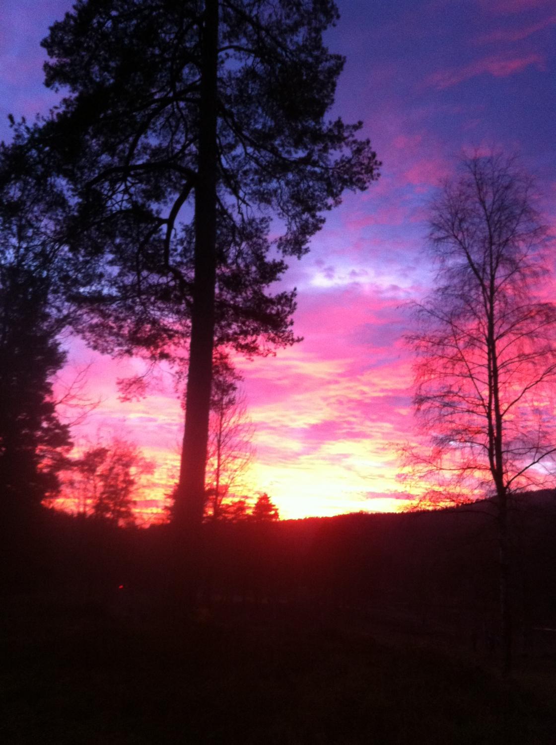 Torill H. cover photo