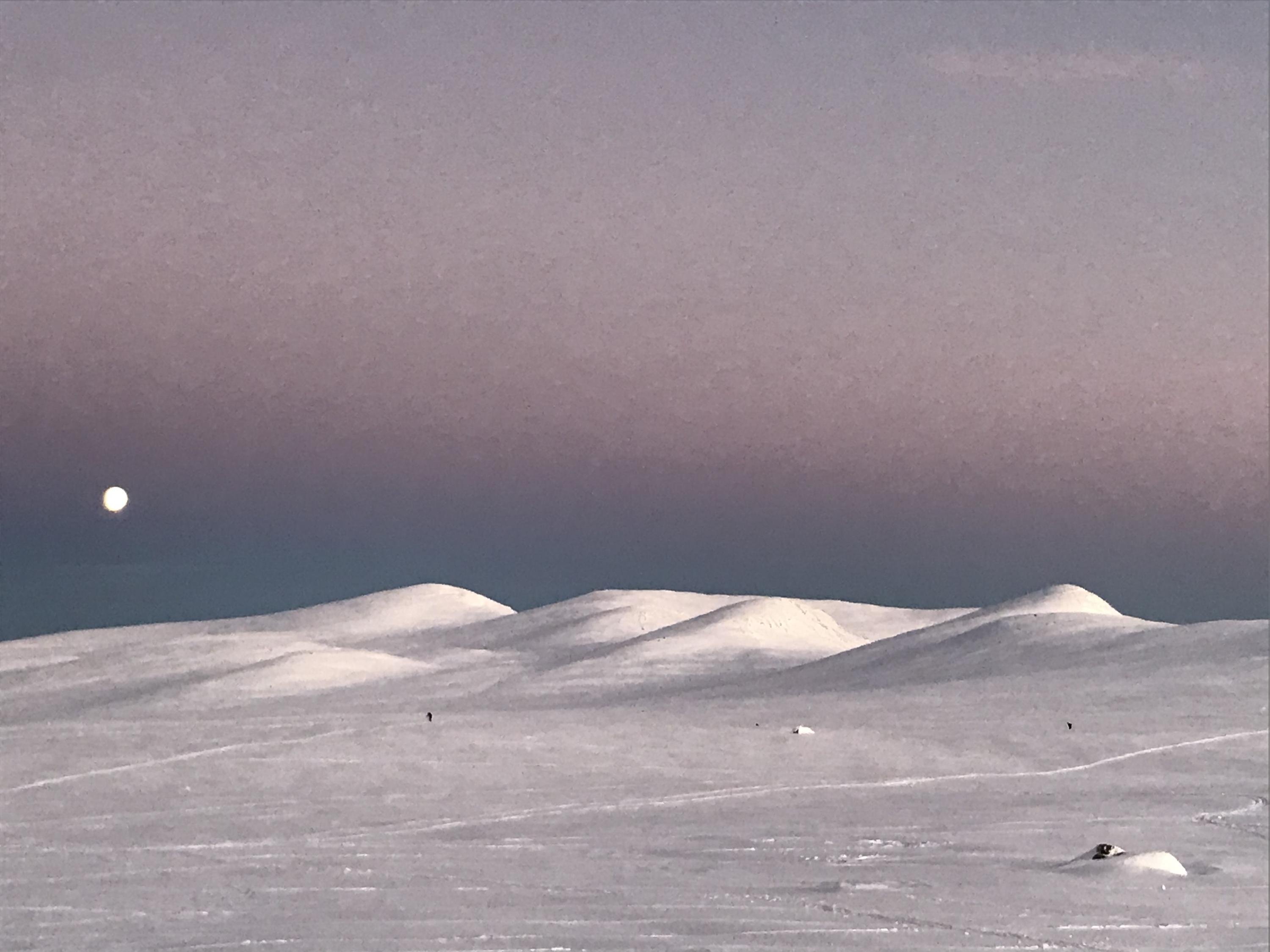 Tore cover photo